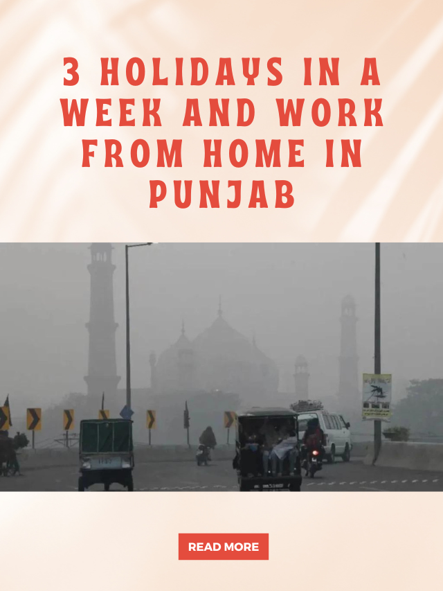 3 Holidays in a Week and Work From Home in Punjab
