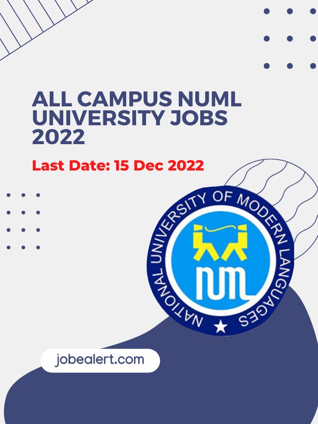 All Campus NUML University Jobs 2022